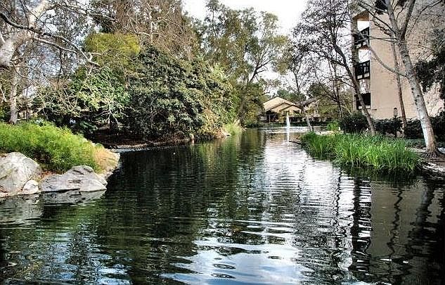 Nature is all around you