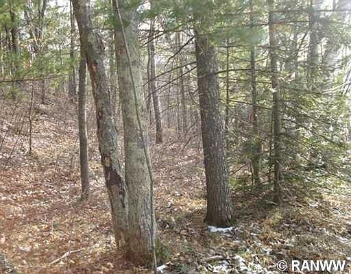 5th image of 0 N Moes Bay Lane