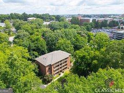 174 Talmadge St APT 11, Athens, GA, 30606