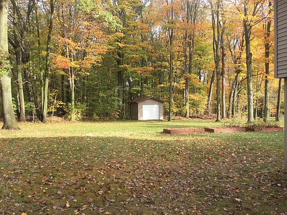 Shed with 3 raised beds