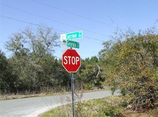 Georgia St, Paisley, FL 32767