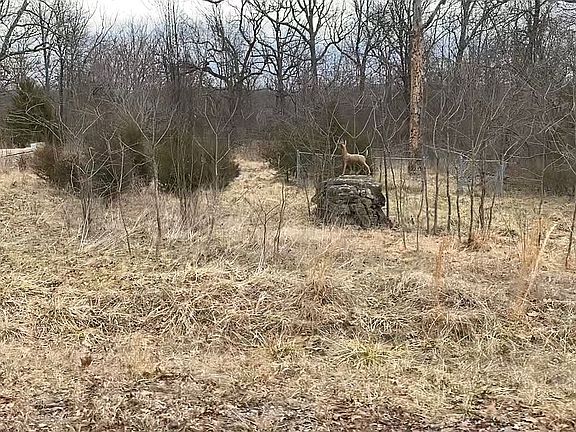 5th image of 1406 Sleepy Hollow Dr