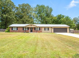 46 Christie Rd, Diana, TX 75640