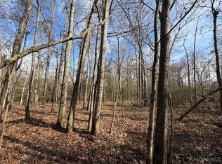 Highway 31, Letohatchee, AL 36047