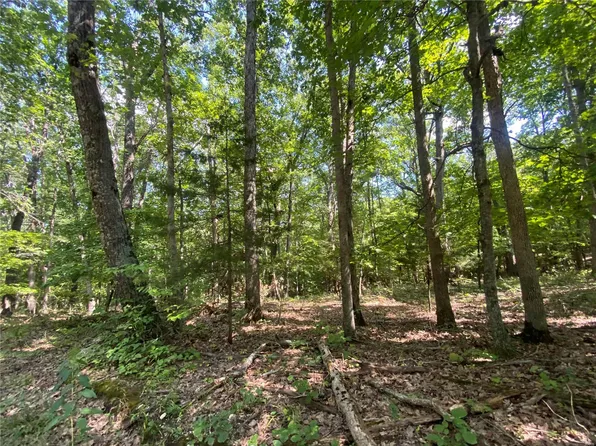 0 George See Rd, Montgomery City, MO 63361