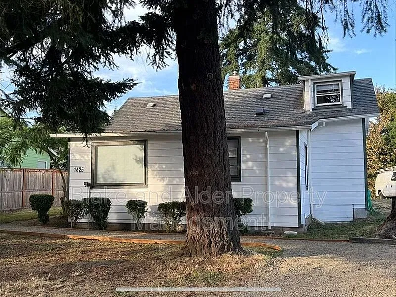 2 bed, 1.0 bath, 1084 sqft, $2,195 — Photo 3