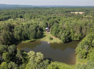 13611 Trevett Rd, Springville, NY 14141