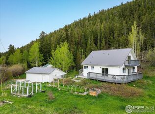 489 Beaver Creek Dr, Nederland, CO 80466