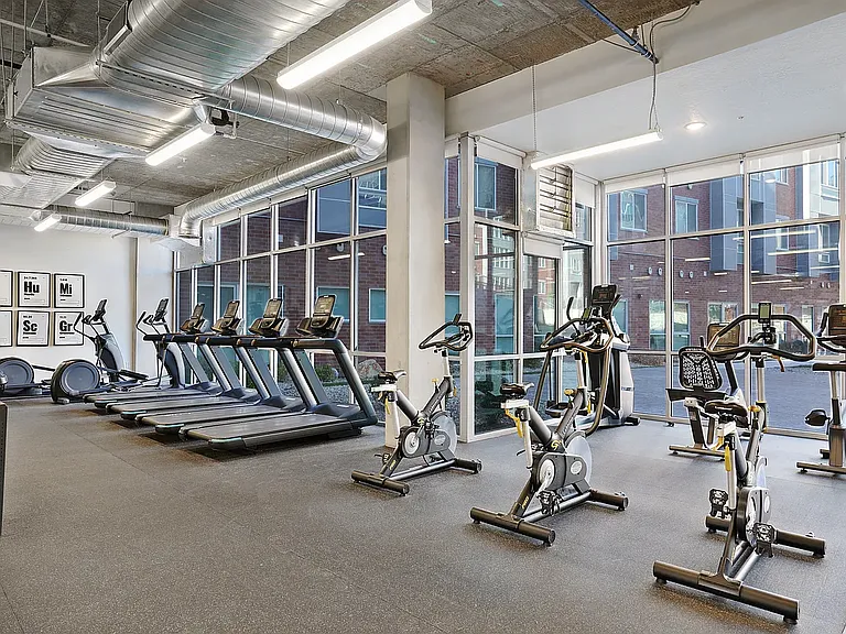 Gym Area