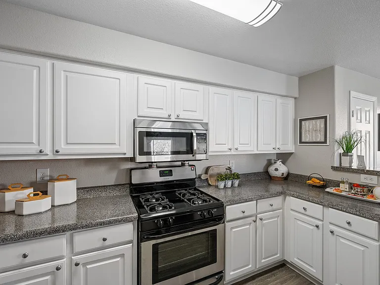 Palm Villas at Whitney Ranch — Photo 4