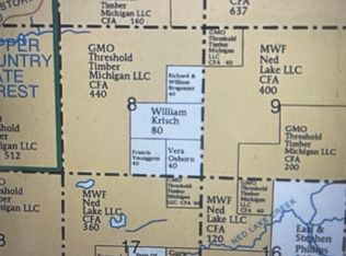 Spurr Township, Michigamme, MI 49861