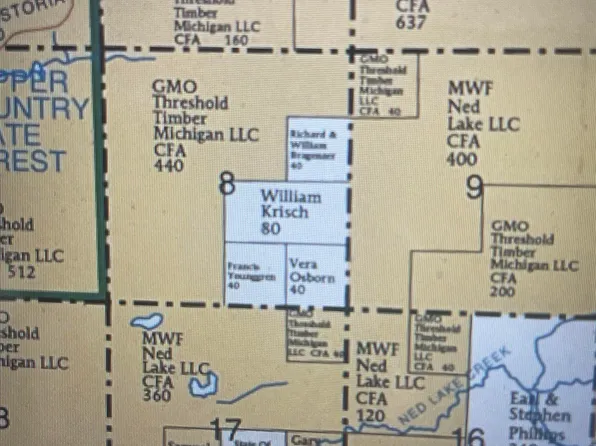 Spurr Township, Michigamme, MI 49861