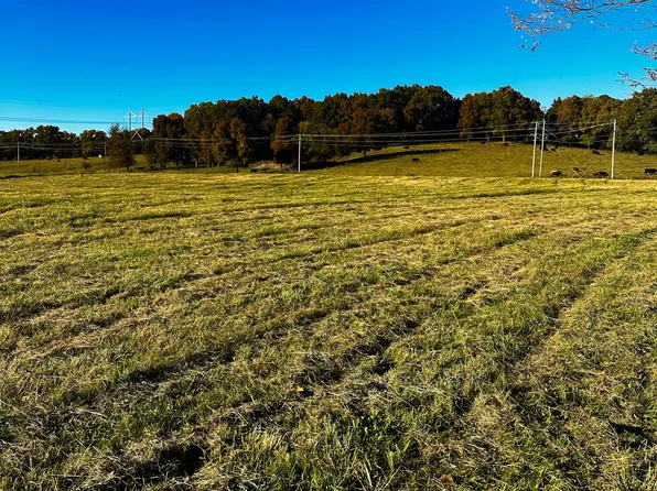 5 3/4+/-Ac Thief Hollow Road, Anderson, MO 64831
