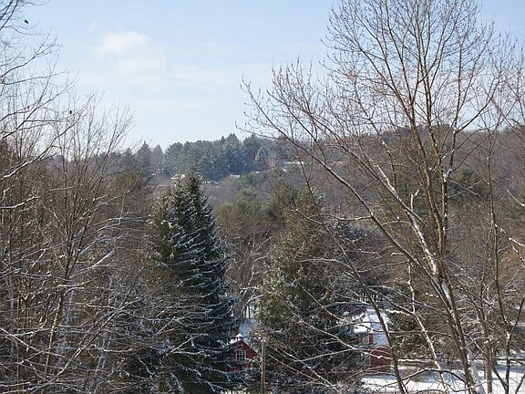 Winter view from front porch