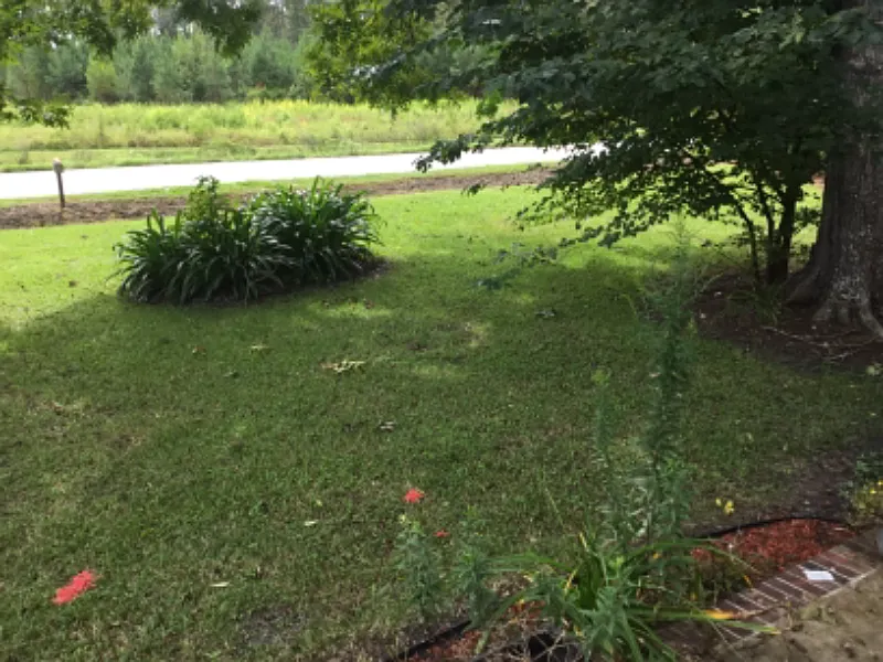 Beautiful 4/bedrooms n 2/bath on Awesome Lot — Photo 2