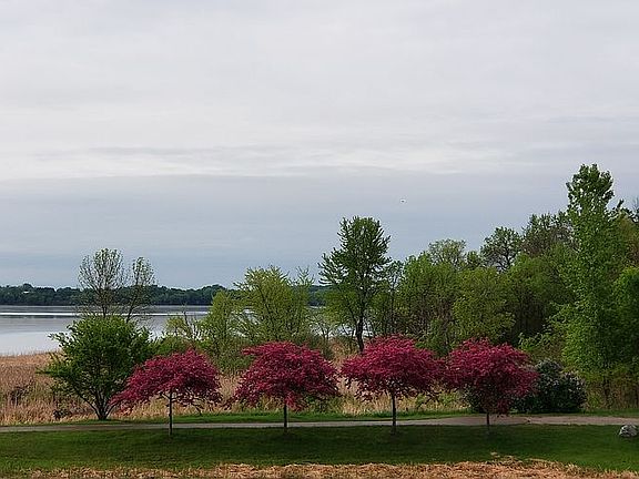 Spring View
