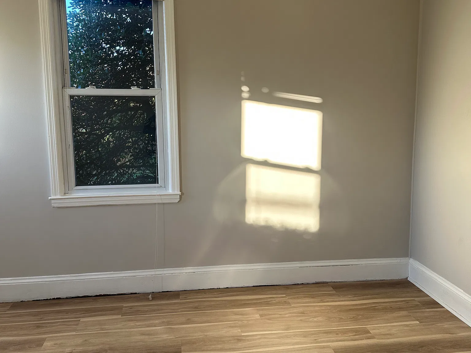 2 bed, 1000 sqft, $3,700 — Photo 3