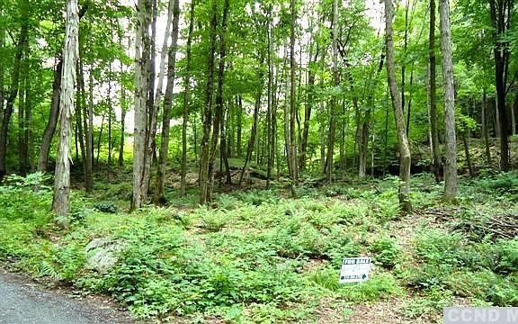 3rd image of 0 Hemlock Lane