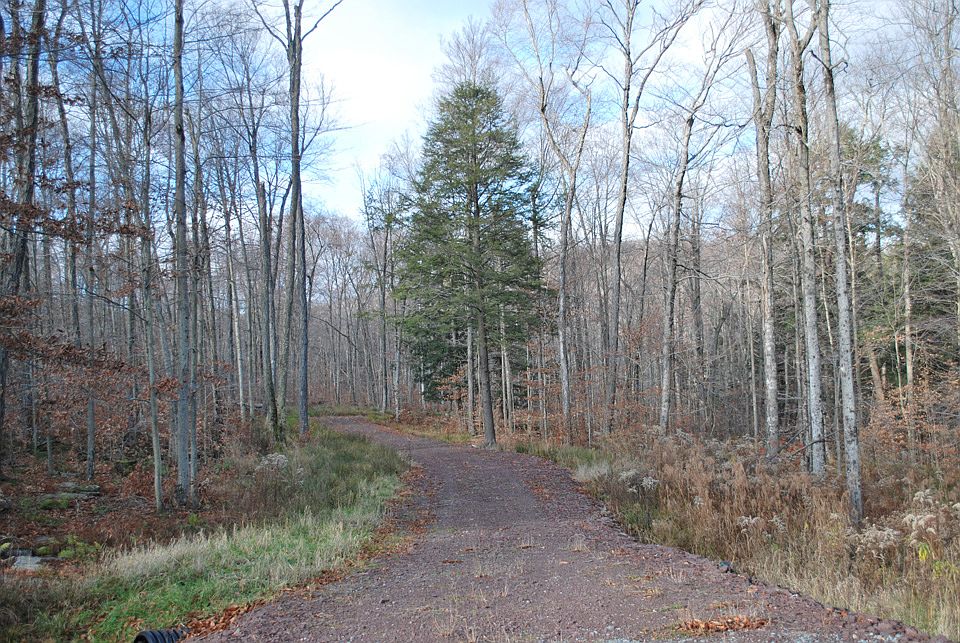 1st image of Lot 82 - The Woods At Duck Harbor