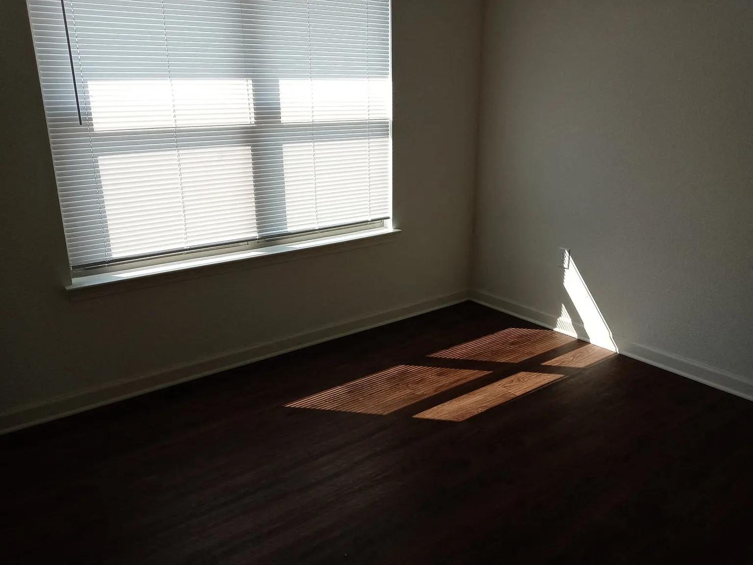 Cannon Courts — Photo 4