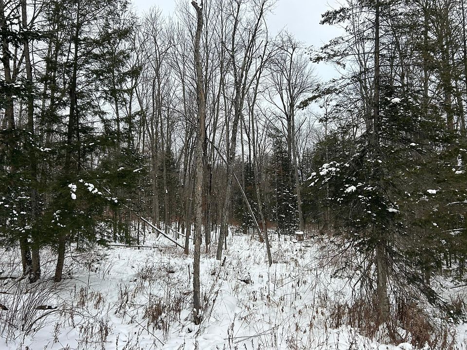 2nd image of 24 Cth G