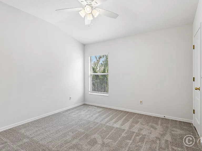 15807 Fishhawk Falls Dr — Photo 12