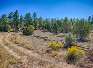 939 Hog Wash Rd, Show Low, AZ 85901