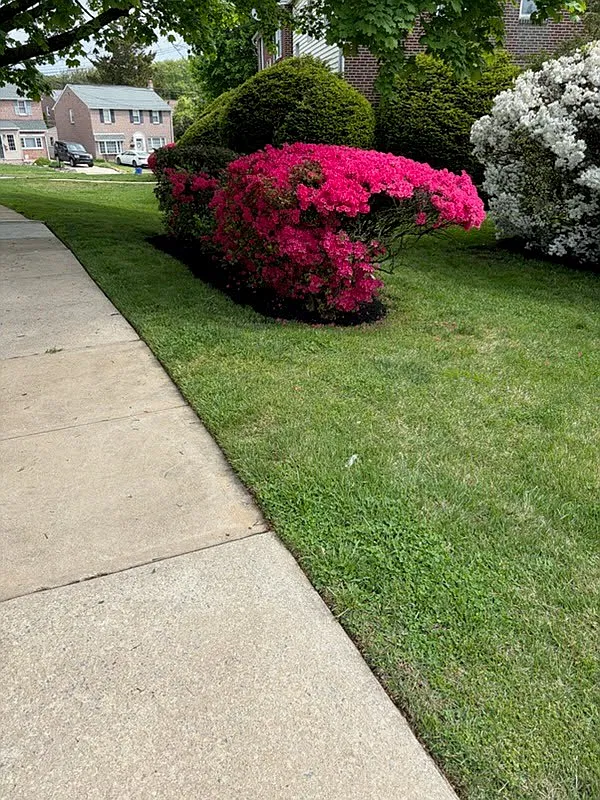 Pilgrim Gardens, Drexel Hill — Photo 3