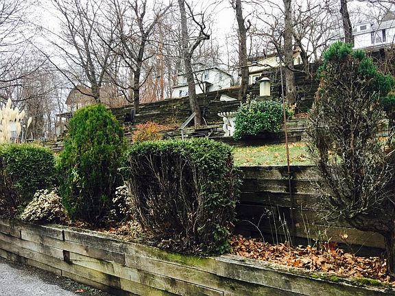 Shrubs around the driveway