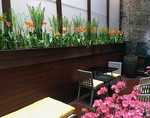 Rented by Douglas Elliman | media 14