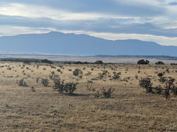 66A Turkey Ridge Rd, Walsenburg, CO 81089