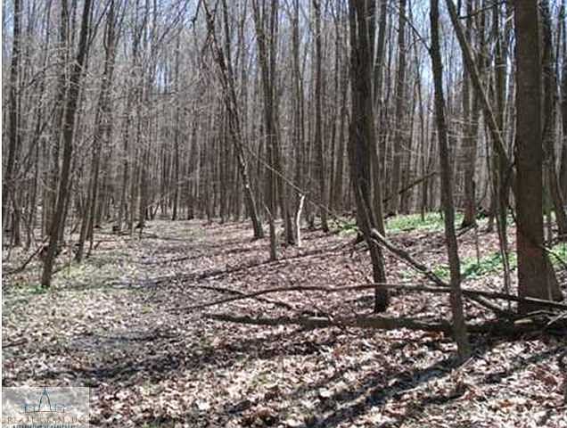 1st image of W Spicerville Hwy