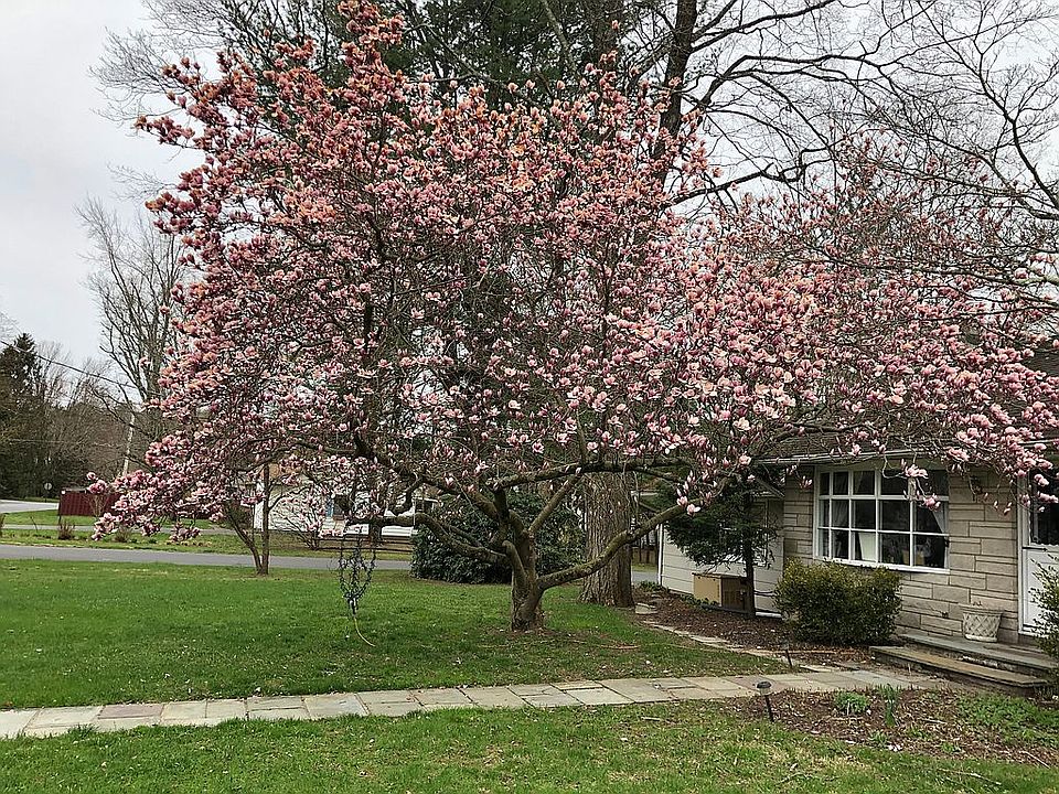 228 Maple Avenue Tillson Ests, Tillson, NY 12486 Zillow