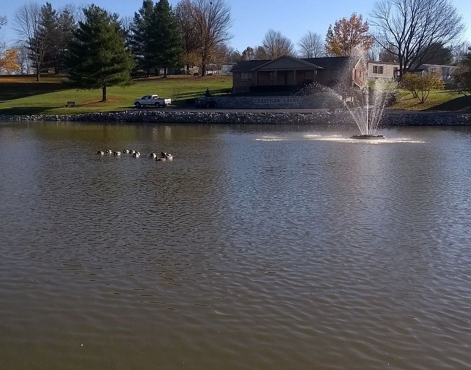 1st image of 5680 Hazel Dr