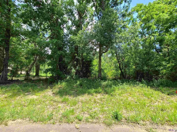 Amite Acres Dr, Springfield, LA 70462