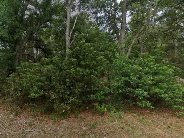 8547 N Fauci Point, Crystal River, FL 34428
