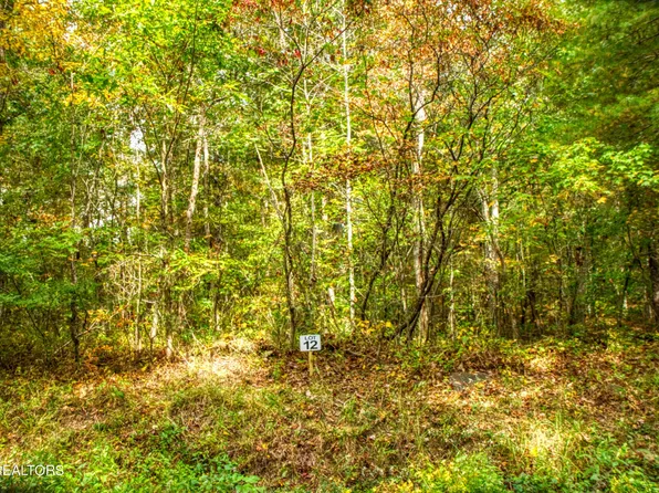LOT 12 Old Mount Helen Rd, Allardt, TN 38504