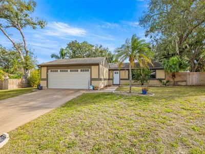 2943 Hanna Ct, Palm Harbor, FL, 34684