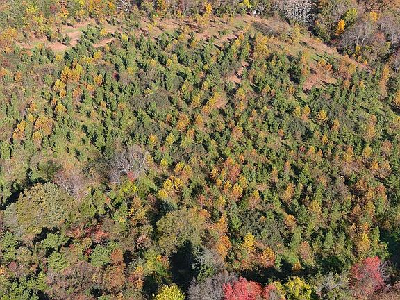 5th image of Old Barboursville Rd