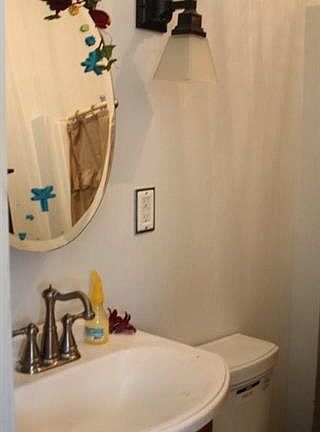 Bath sink