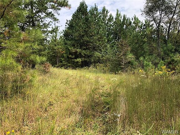 4th image of 0 Hallman Lakes Dr