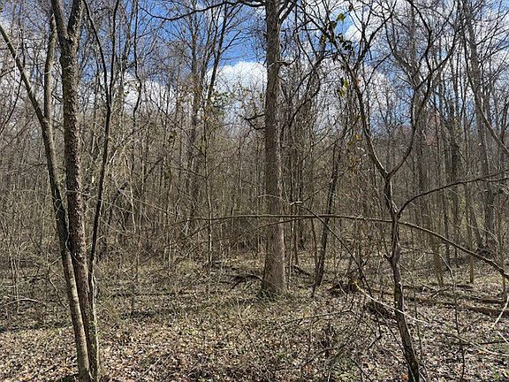 3rd image of 100 Bud Cantrell Rd Lot 4