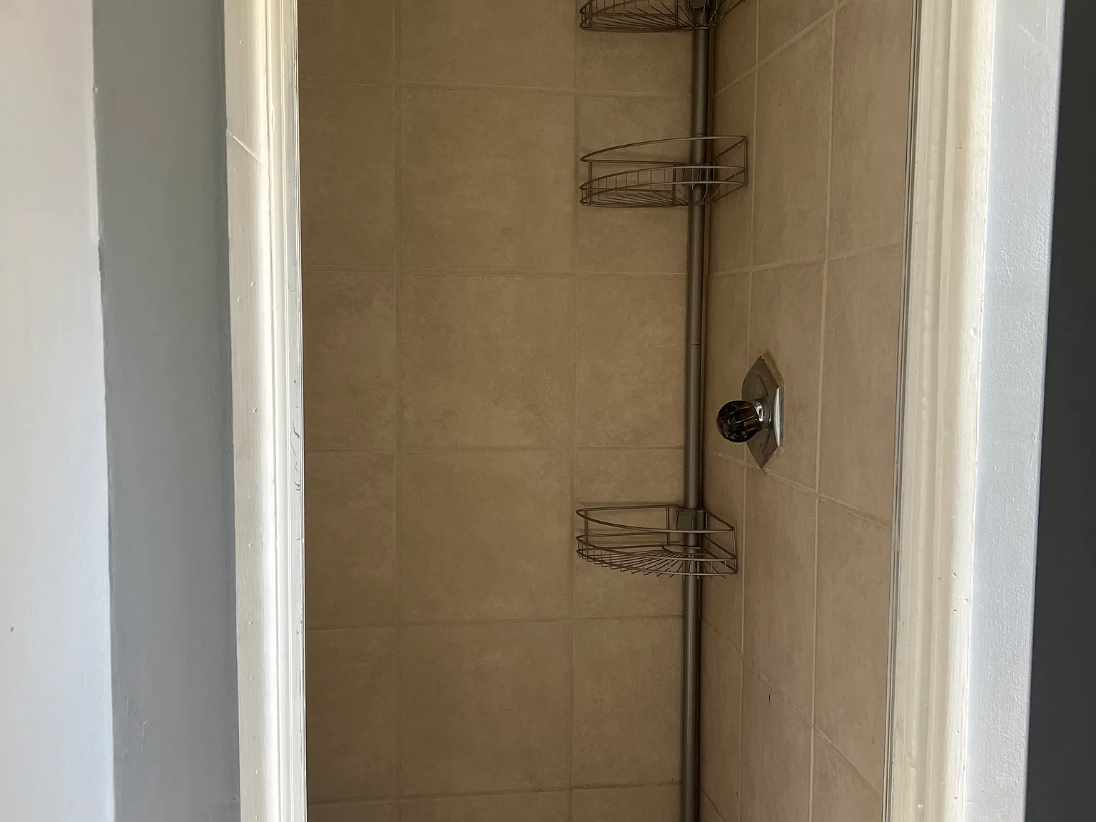 1 bed, 800 sqft, $1,100 — Photo 3
