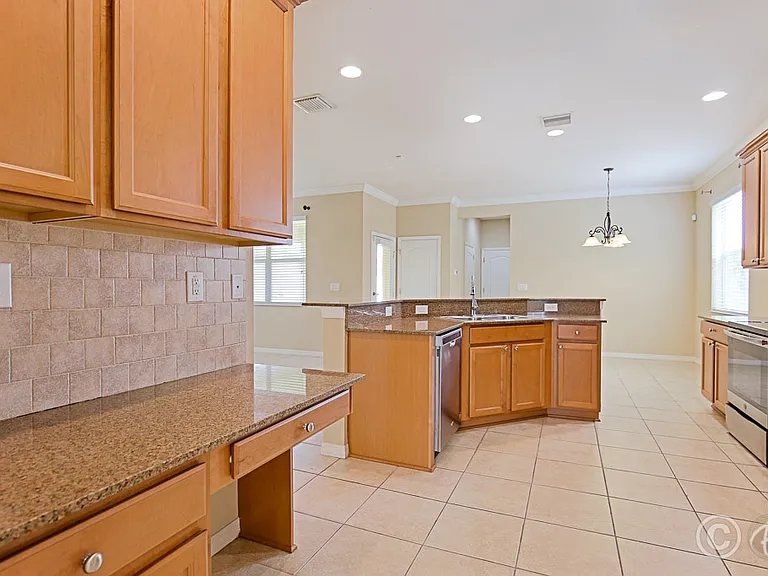 4615 Watson Woods Way — Photo 17