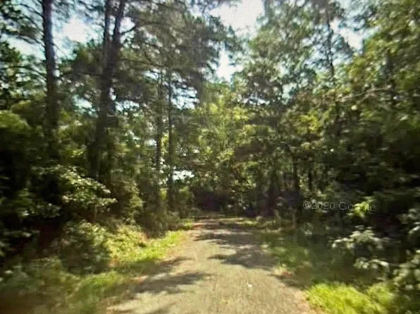 4339 Pine Ridge Rd #0, Mount Olive, AL 35117