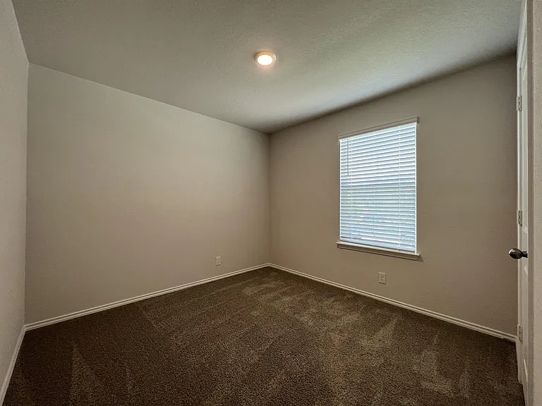 15315 Shortwing — Photo 12
