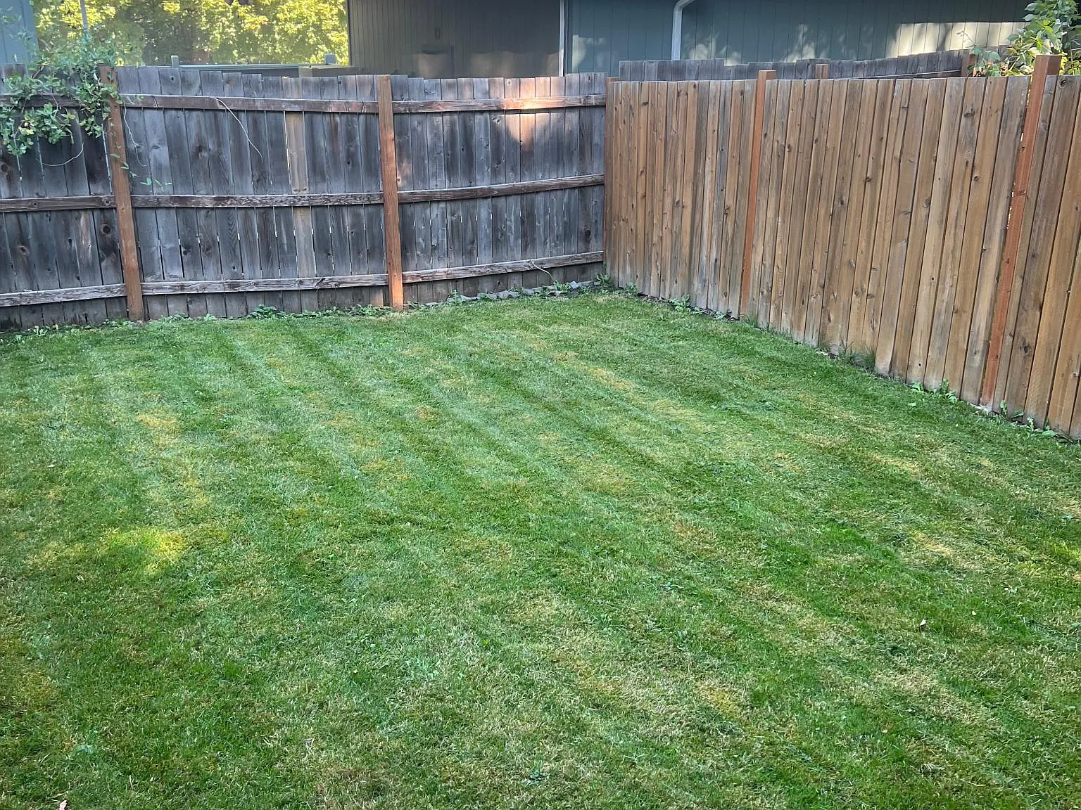1 bed, 775 sqft, $1,300 — Photo 4