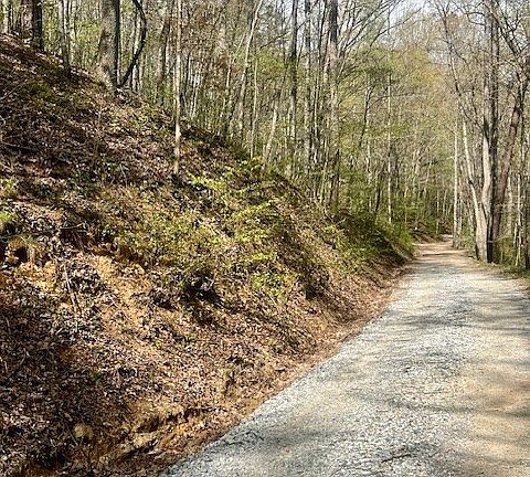 2nd image of 00 Gunter Hollow LOT E-2