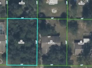 13393 White Plains St, Spring Hill, FL 34609