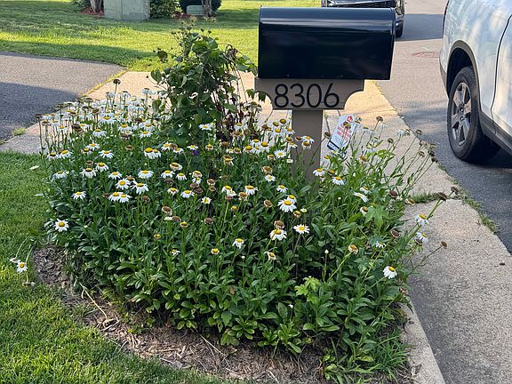 4th image of 8306 Periwinkle Pl